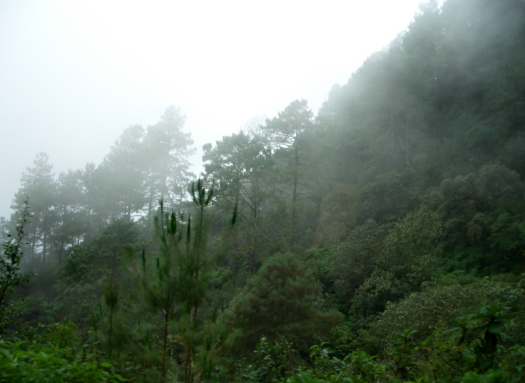 Santiago Yaitepec